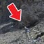 Thumbnail image for Mellcolm im Wanderland, Teil III: Von Kandersteg (Ogi-Wil) nach Adelboden (Adubode)